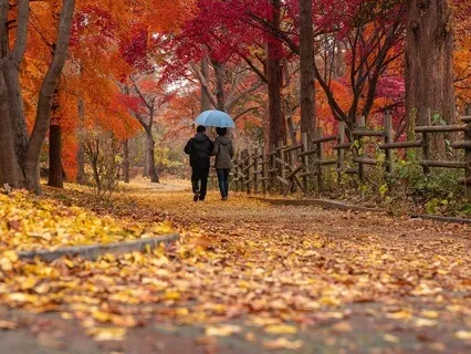 Feeling Grounded With Your Partner