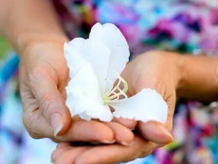 Feeling Into The Physical