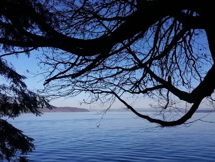 Feeling Invisible (extended)