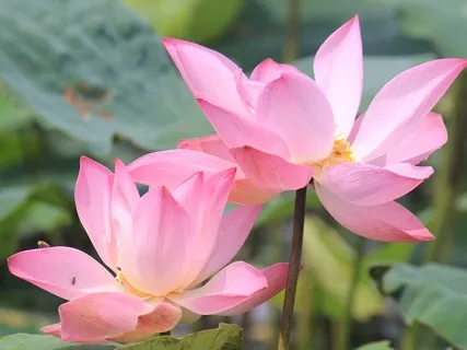 Feeling Lonely In Isolation: Energetically Connect With Loved Ones In Times Of Separation