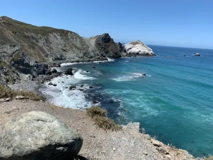 Feeling Love, Gratitude & Appreciation