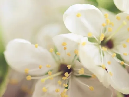 Feeling Off? That's OK.  Me, Too!