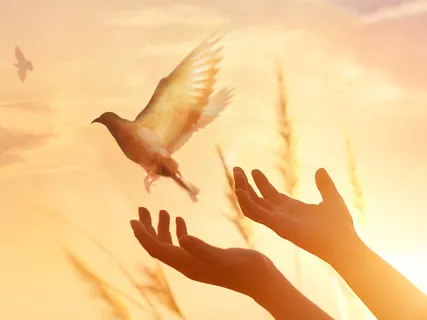 PLAN: Pause, Lean In, Allow, Need