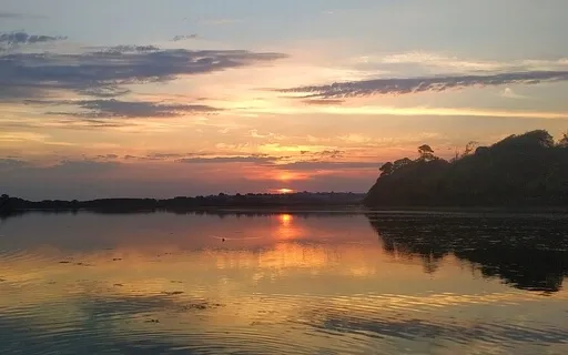 Feeling Sadness With The Earth - Allowing & Lightening