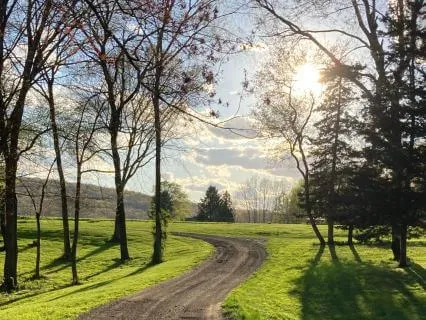 Feeling Safe Affirmations