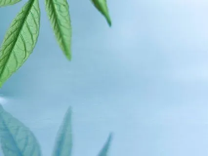 Feeling Safe In The Body | Here And Now