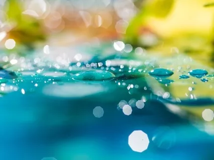 Feeling Safe In The World By Cultivating Feelings Of Safety