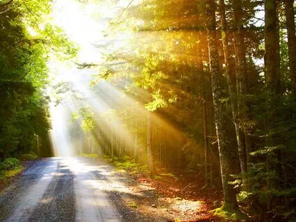 Meditation For Safety And Abundance