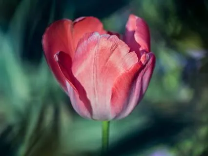 Feeling Safe In Your Own Skin