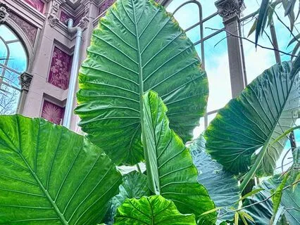 Feeling Seen, Heard And Held Affirmations