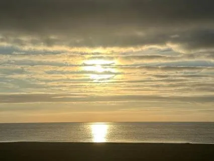 Feeling Stuck? A Gentle Reset