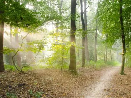 Feeling Stuck? Try The One Decision Practice