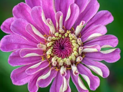 Feeling Supported - A Potent Practice To Hold Your Heart