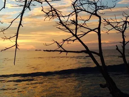 Feeling Supported And Nurtured