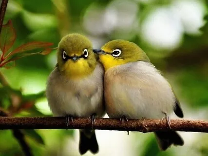 Finding Space & Ease With Kindness - A Poem By Naomi Shihab Nye