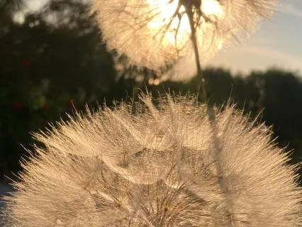 Feeling The Ripple Effect Of Your Breath