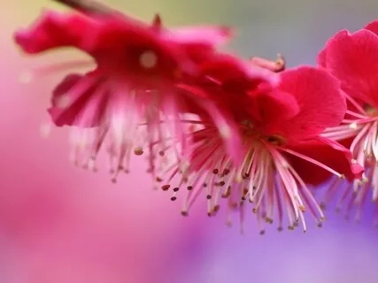 Feeling Tired No More