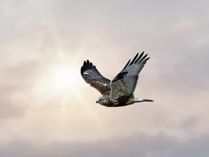 Feeling Vulnerable - Find Strength