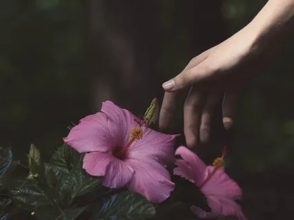 Feeling What's There, Solo Piano Meditation