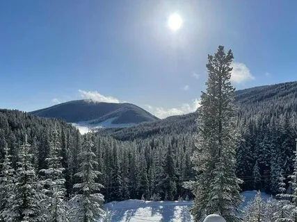 Feeling With My Body Rather Than Thinking With My Head