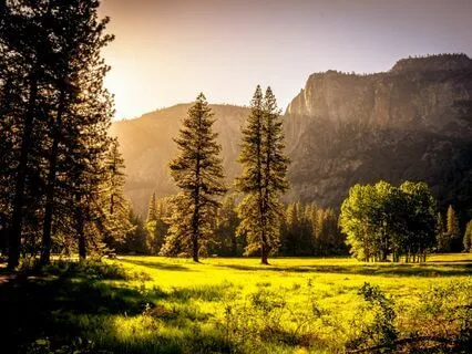 Feeling Your Emotions