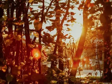 Feels Like Autumn Again | Calming Jazzy Piano LoFi Beats