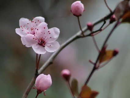 Feels Like Springtime | Cozy LoFi Jazz Piano Beats