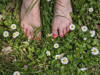 Feet On Floor Body On Chair Meditation