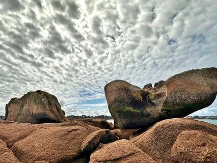 Fellowship Of Relaxation - Music Therapy