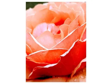 A Beautiful Practice For Female Grounding 