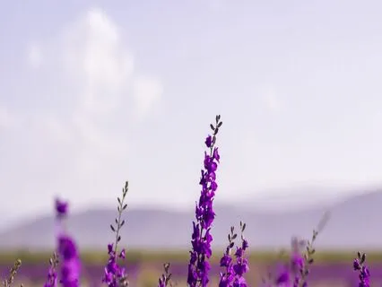 Feminine Way Of Being