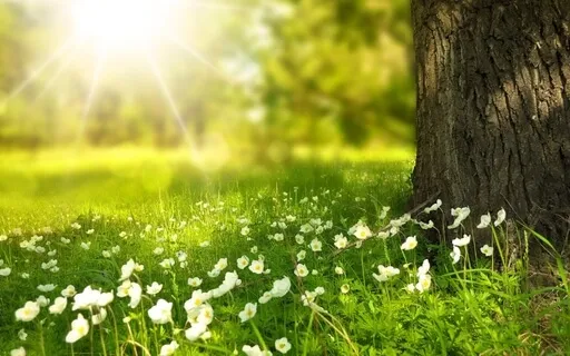 Feminine Energy Meditation