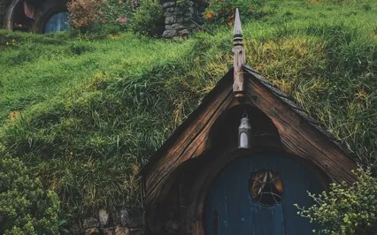 Fernanda  And The Fairy Toad King