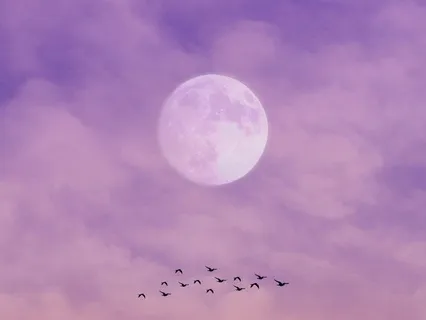 Fertile Affirmations And Connecting With Spirit Babies