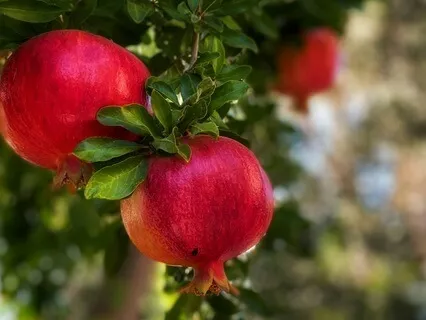 Fertility Affirmations