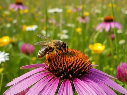 Fertility & Child Birth Manifestation For Women