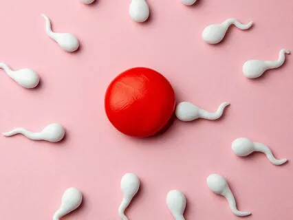 Fertility Meditation - For A Calm & Happy Conception