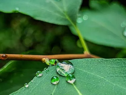 Fibromyalgia Healing Frequency Meditation 36mins