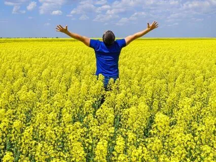 Field Of Dreams - To Remember That Everything Is Possible