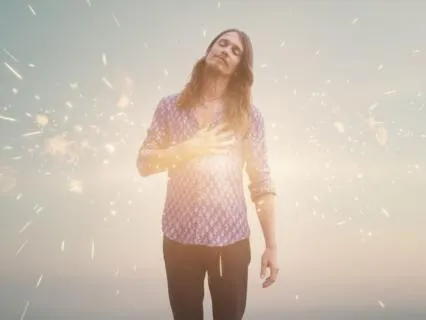 Fight Flight Freeze Reset