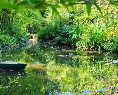 Fight Vs Flow (Short Guided Meditation For Parents)