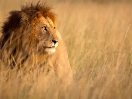 Fighting The Invisible Battles Within