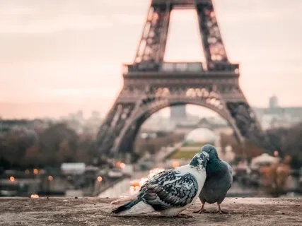 Fill The Body With Love