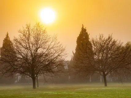 Fill Up On Vital Energy