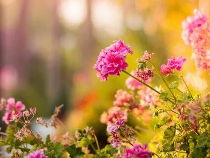 Fill Up Your Cup- Gratitude Meditation