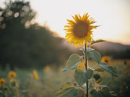 Fill Up Your Self-Love Cup