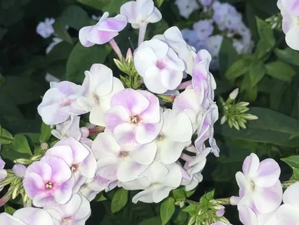 Fill Your Cup: A Gratitude Meditation For Renewal