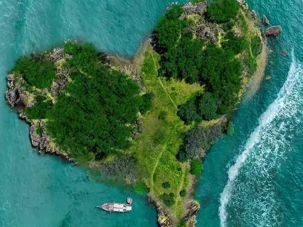 Fill Your Heart With Love