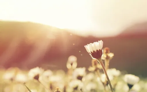 Fill Your Inner Tank Meditation