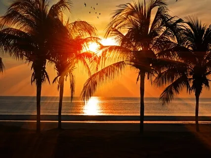 Fill Yourself Up With Golden, Sparkly Liquid Love Light